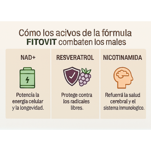 Fitovit NAD+ Resveratrol + Nicotinamida - Oferta Exclusiva